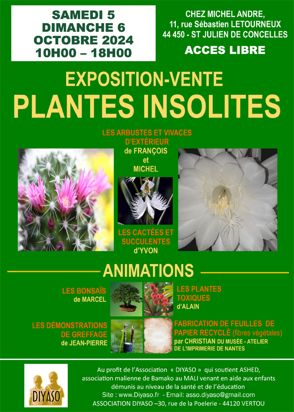 AFFICHE PLANTES INSOLITES 2024.V3