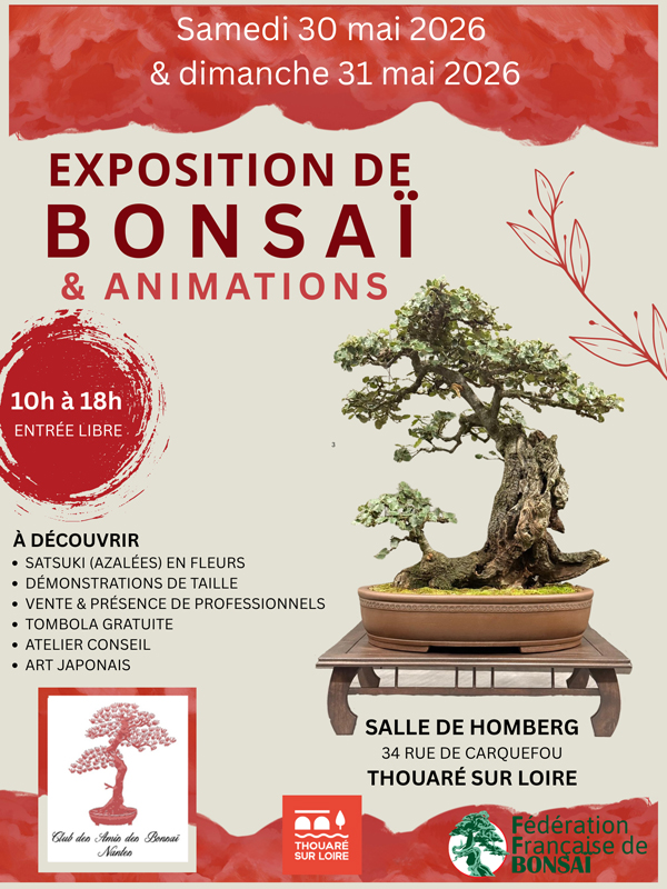 VALID AFFICHE 03 03 2026