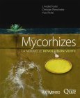 mycorhizes